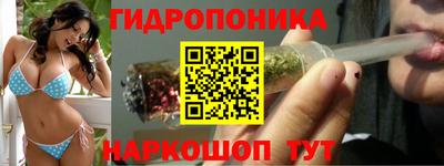 молекула духа Краснознаменск