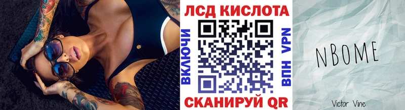 где можно купить   Грозный  Марки NBOMe 1,5мг 