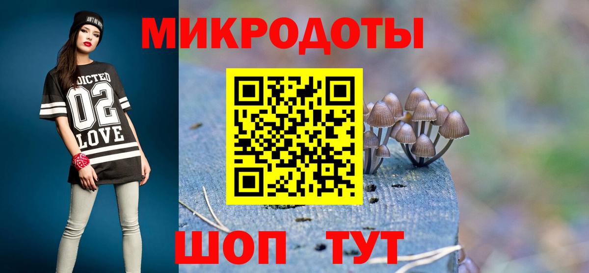 Псилоцибиновые грибы MAGIC MUSHROOMS  продажа наркотиков  Псилоцибиновые грибы GOLDEN TEACHER  Грозный  Вход с VPN 