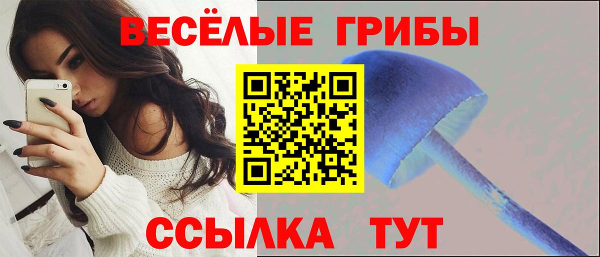 Галлюциногенные грибы мицелий Грозный